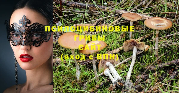прущие крисы Богородицк