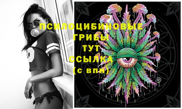 ешки Белоозёрский