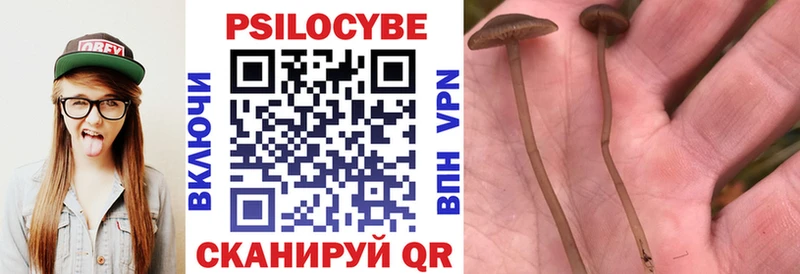 Галлюциногенные грибы Magic Shrooms  Сердобск 